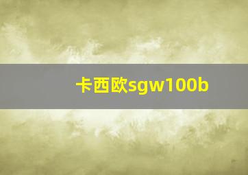 卡西欧sgw100b