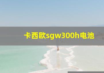 卡西欧sgw300h电池