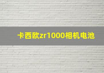 卡西欧zr1000相机电池