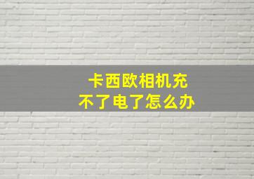 卡西欧相机充不了电了怎么办