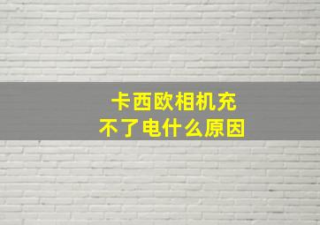 卡西欧相机充不了电什么原因