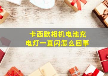 卡西欧相机电池充电灯一直闪怎么回事