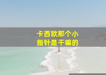 卡西欧那个小指针是干嘛的