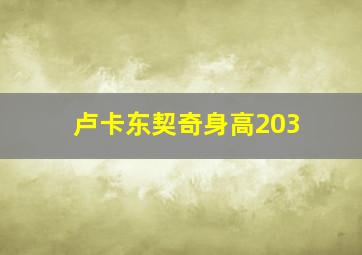 卢卡东契奇身高203