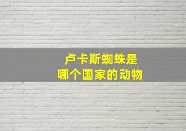 卢卡斯蜘蛛是哪个国家的动物