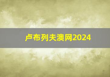 卢布列夫澳网2024