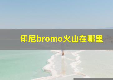 印尼bromo火山在哪里