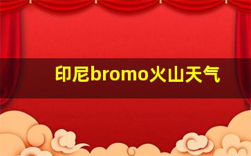 印尼bromo火山天气