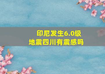 印尼发生6.0级地震四川有震感吗