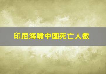 印尼海啸中国死亡人数