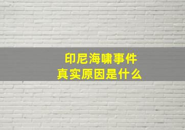 印尼海啸事件真实原因是什么