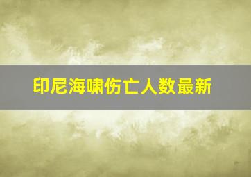 印尼海啸伤亡人数最新