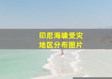 印尼海啸受灾地区分布图片