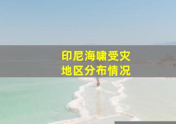 印尼海啸受灾地区分布情况