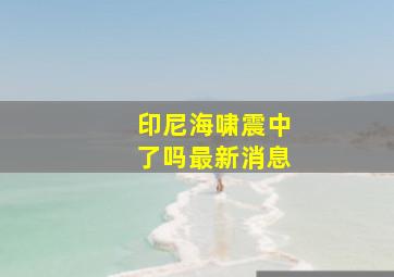 印尼海啸震中了吗最新消息