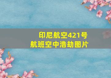 印尼航空421号航班空中浩劫图片