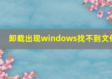 卸载出现windows找不到文件