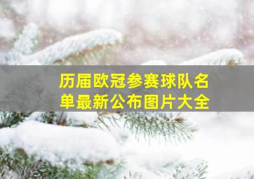 历届欧冠参赛球队名单最新公布图片大全