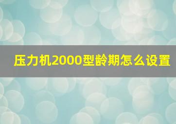 压力机2000型龄期怎么设置