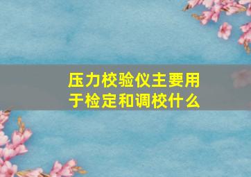 压力校验仪主要用于检定和调校什么