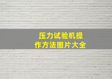 压力试验机操作方法图片大全