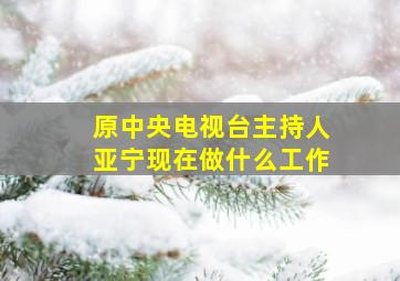 原中央电视台主持人亚宁现在做什么工作