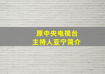 原中央电视台主持人亚宁简介