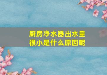 厨房净水器出水量很小是什么原因呢