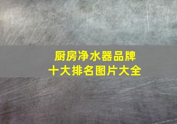 厨房净水器品牌十大排名图片大全