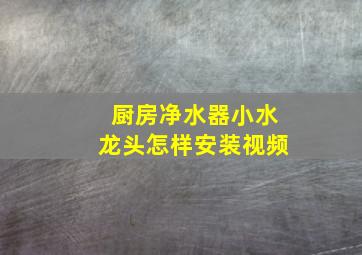 厨房净水器小水龙头怎样安装视频