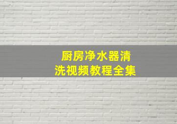 厨房净水器清洗视频教程全集