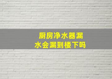 厨房净水器漏水会漏到楼下吗