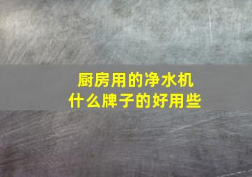 厨房用的净水机什么牌子的好用些