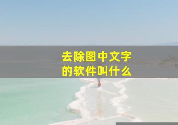 去除图中文字的软件叫什么