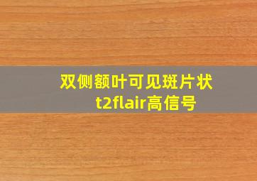 双侧额叶可见斑片状t2flair高信号