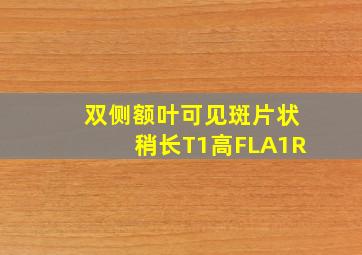 双侧额叶可见斑片状稍长T1高FLA1R