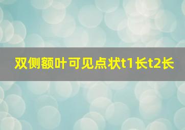 双侧额叶可见点状t1长t2长