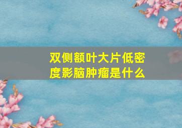 双侧额叶大片低密度影脑肿瘤是什么