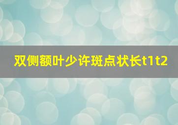 双侧额叶少许斑点状长t1t2