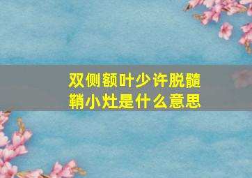 双侧额叶少许脱髓鞘小灶是什么意思