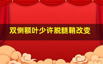 双侧额叶少许脱髓鞘改变