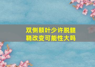 双侧额叶少许脱髓鞘改变可能性大吗