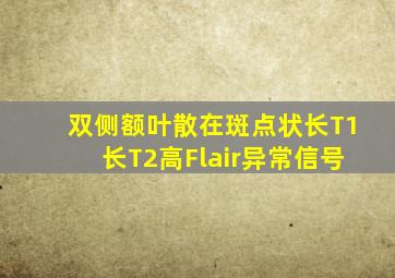 双侧额叶散在斑点状长T1长T2高Flair异常信号