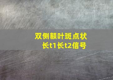 双侧额叶斑点状长t1长t2信号