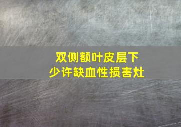 双侧额叶皮层下少许缺血性损害灶