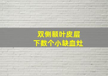 双侧额叶皮层下数个小缺血灶