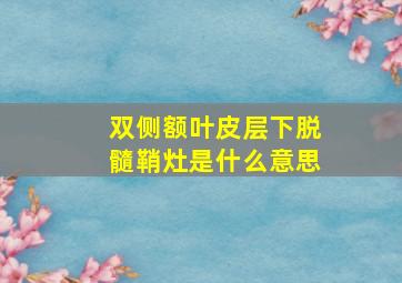 双侧额叶皮层下脱髓鞘灶是什么意思