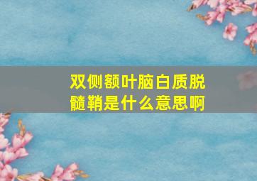 双侧额叶脑白质脱髓鞘是什么意思啊