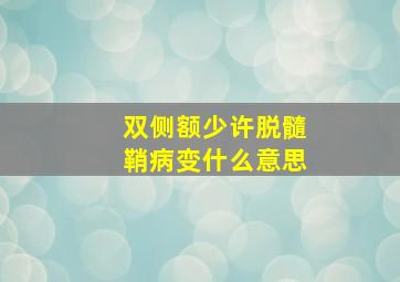 双侧额少许脱髓鞘病变什么意思