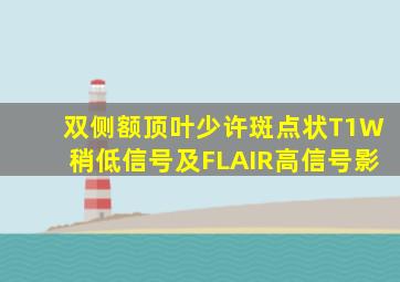 双侧额顶叶少许斑点状T1W稍低信号及FLAIR高信号影